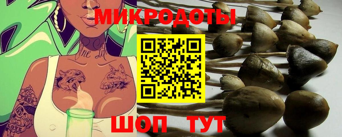 купить наркоту  Вход с VPN  Галлюциногенные грибы GOLDEN TEACHER  Одинцово  Псилоцибиновые грибы GOLDEN TEACHER 