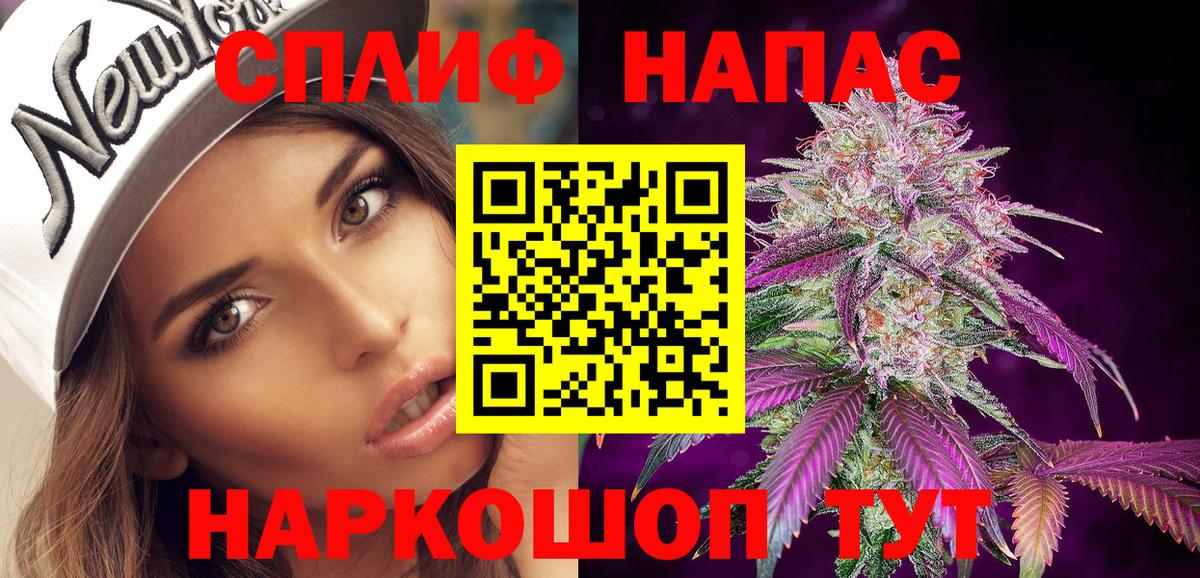 Конопля сатива Одинцово